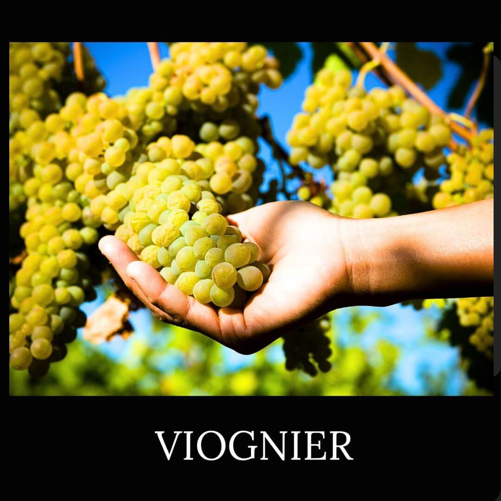Viognier Grape
